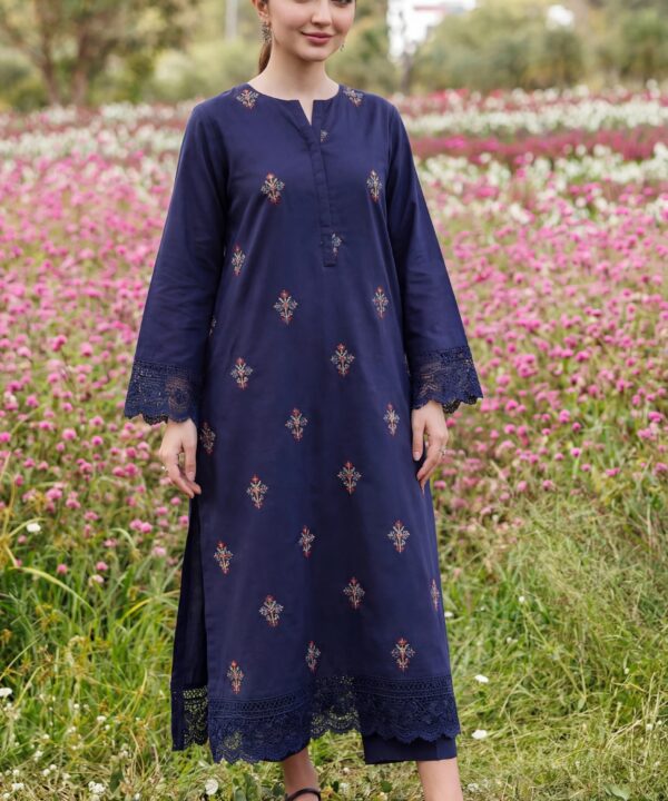 Lawn Embroidered Unstiched 2-Piece - D10