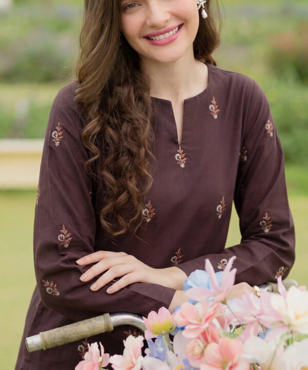 Lawn Embroidered Unstiched 2-Piece - D17