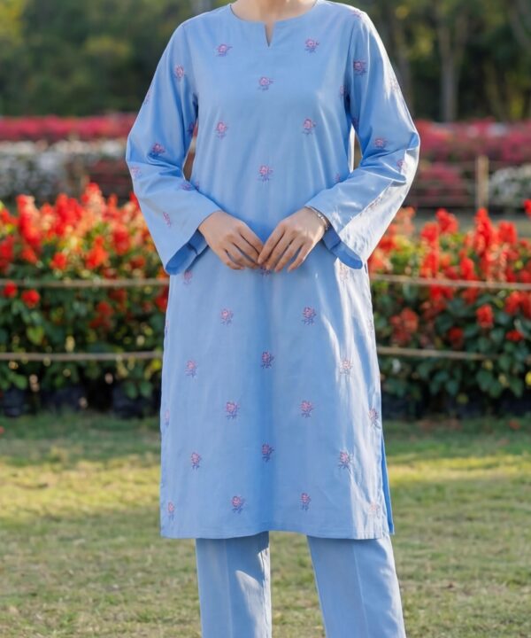 Lawn Embroidered Unstiched 2-Piece - D9
